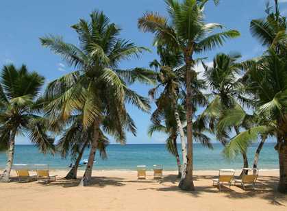 Baobab Beach